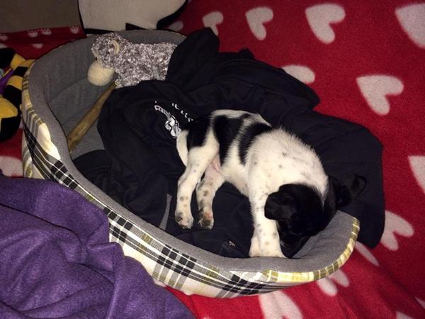 Yay, se hvem der er kommet hjem idag! :D