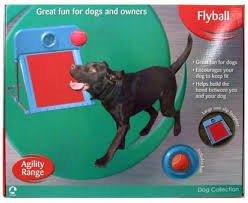Flyball