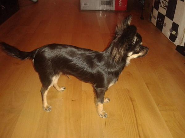 Erfaringer med hurtta pro fleece overall 