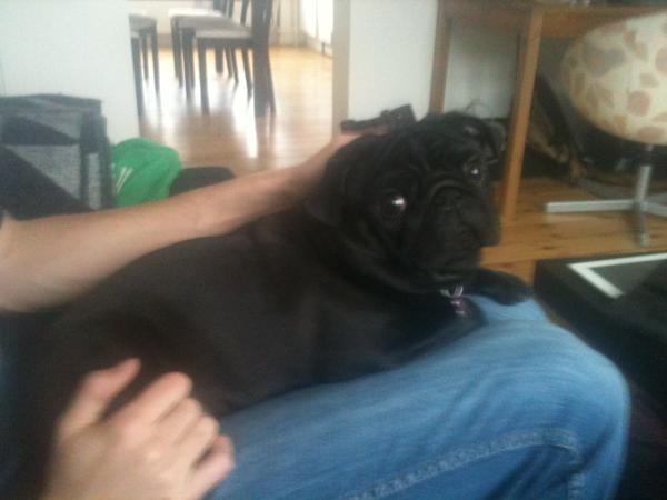 At rejse er at leve, MEN: Ude godt, hjemme bedst