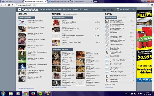 Hmm HundeGalleri eller spørg om alt Galleri?
