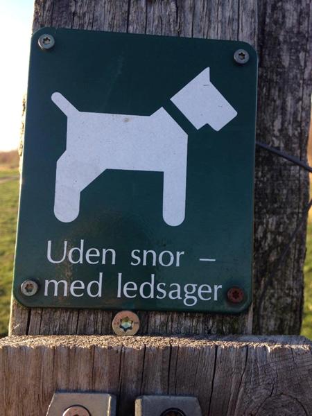 profilbillede