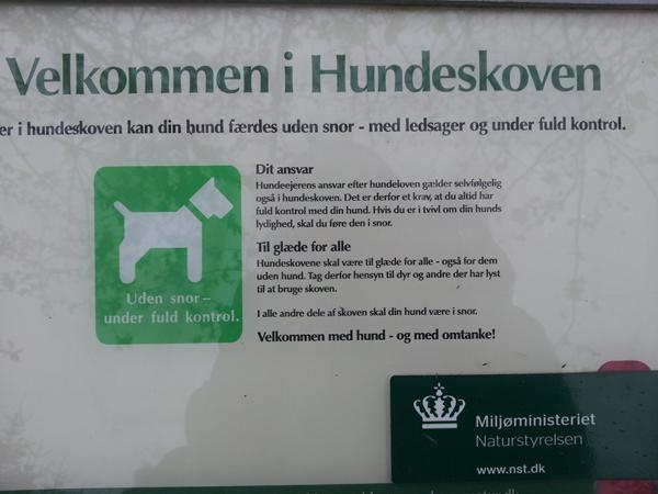 profilbillede