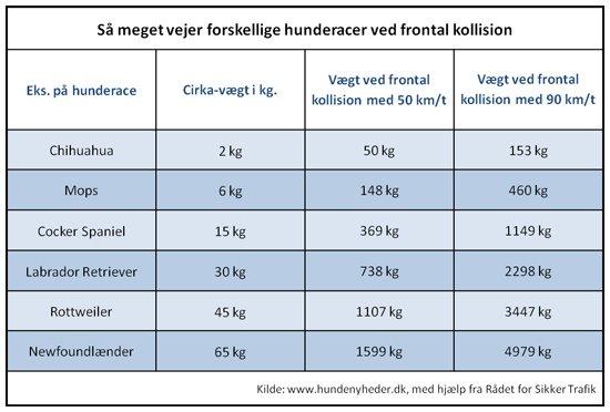 profilbillede
