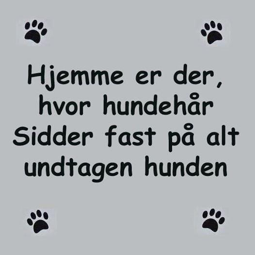 profilbillede