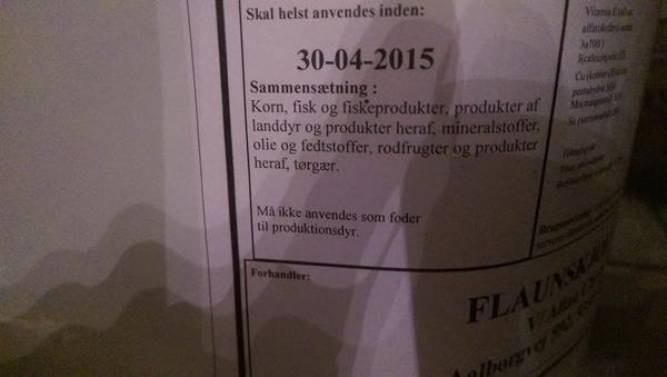 profilbillede