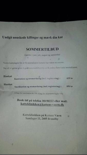 profilbillede