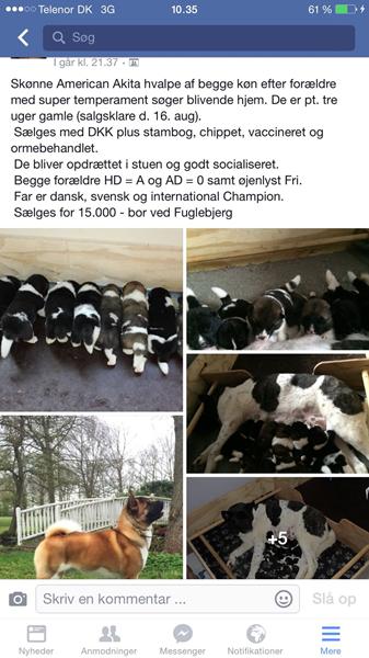 profilbillede