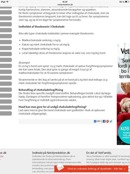 profilbillede