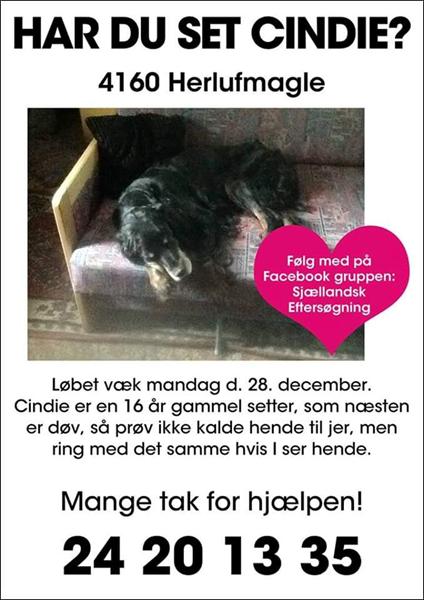 profilbillede