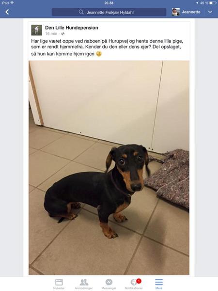profilbillede