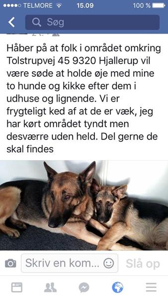 profilbillede