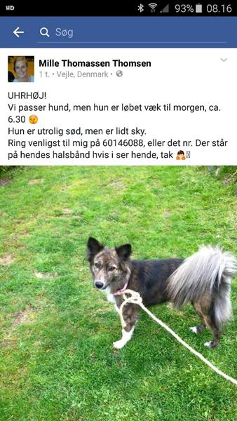 profilbillede