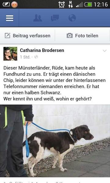 profilbillede