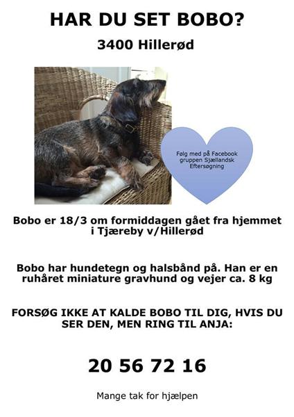 profilbillede