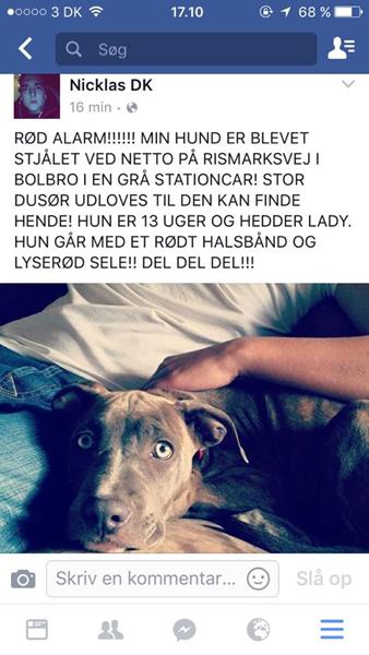 profilbillede