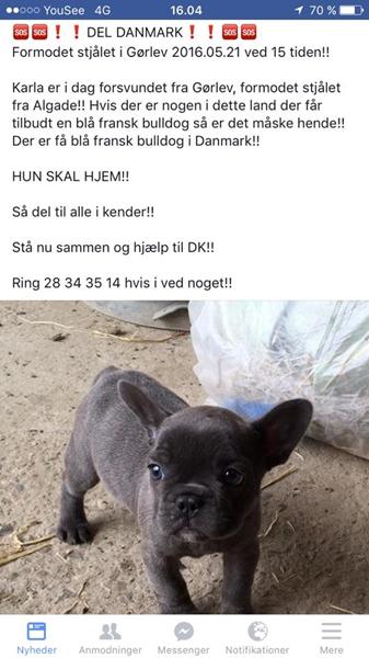 profilbillede