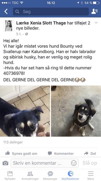 profilbillede
