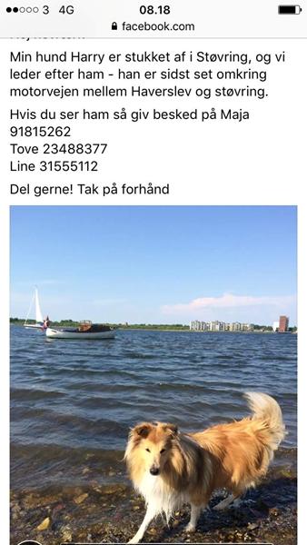 profilbillede