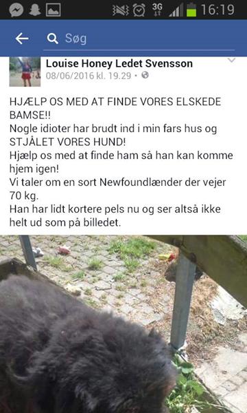 profilbillede