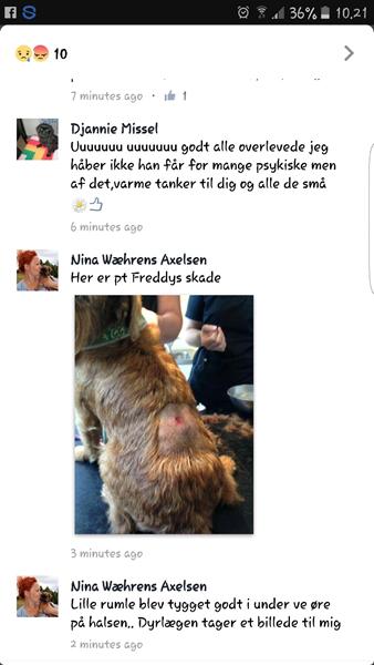 profilbillede