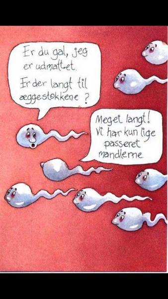 profilbillede