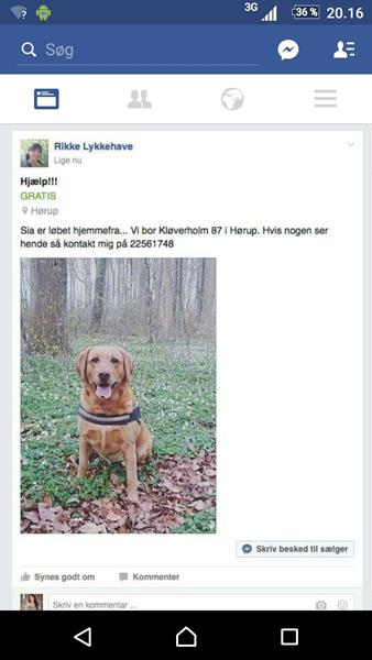 profilbillede