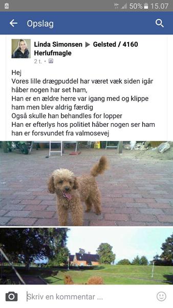 profilbillede