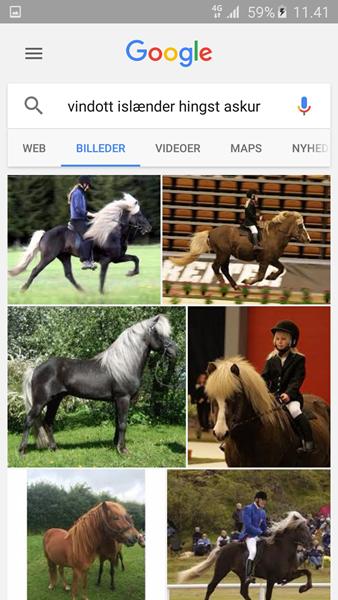 profilbillede