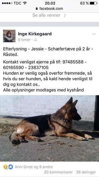 profilbillede