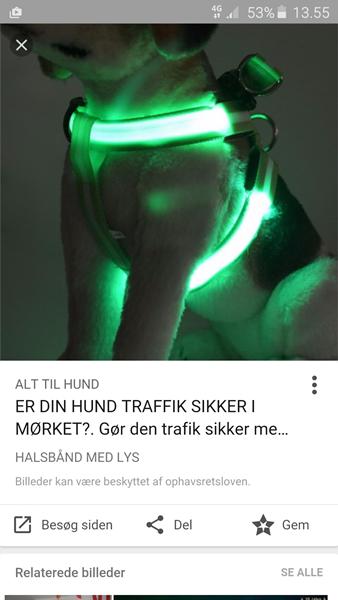 profilbillede