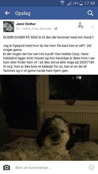 profilbillede