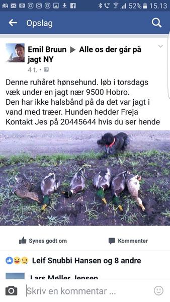 profilbillede