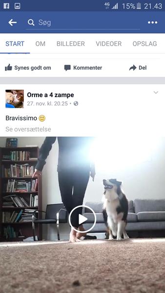 profilbillede