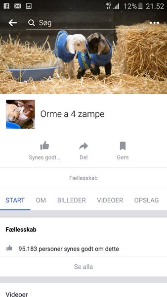 profilbillede