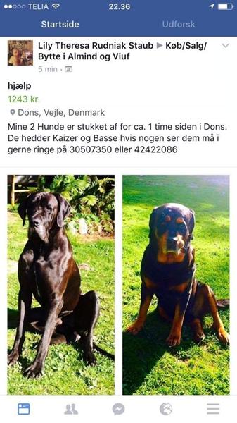 profilbillede