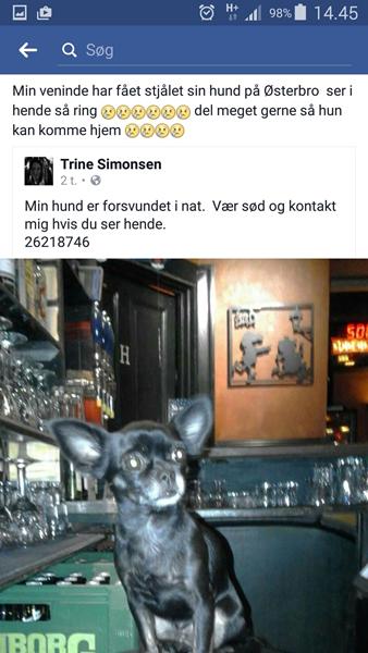 profilbillede