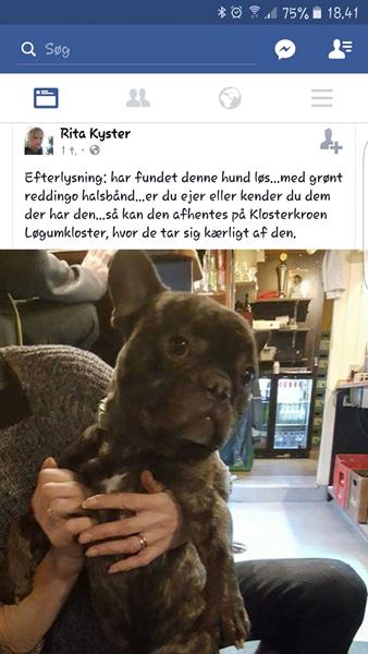 profilbillede