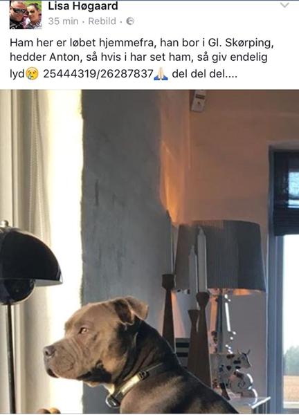 profilbillede