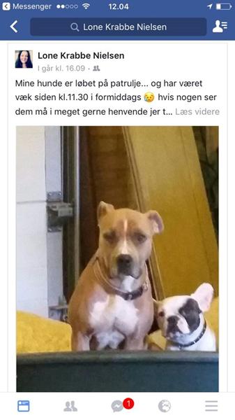 profilbillede