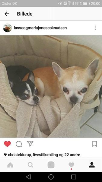 profilbillede