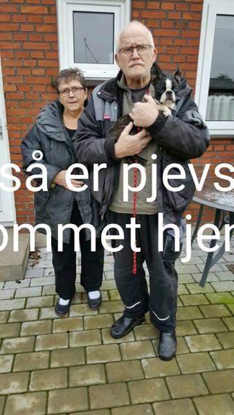 profilbillede