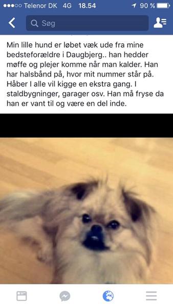 profilbillede