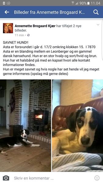 profilbillede