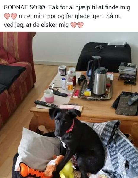 profilbillede