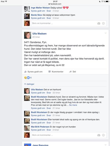 profilbillede