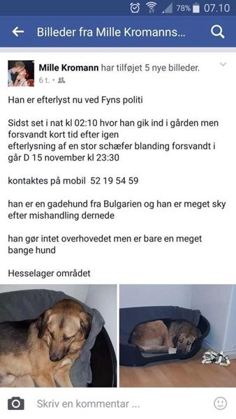profilbillede