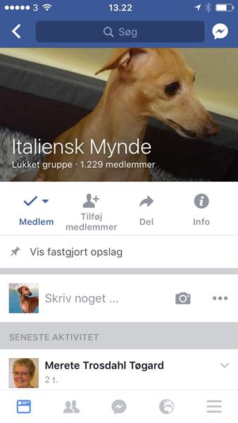 profilbillede