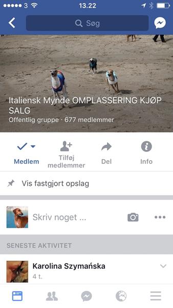 profilbillede