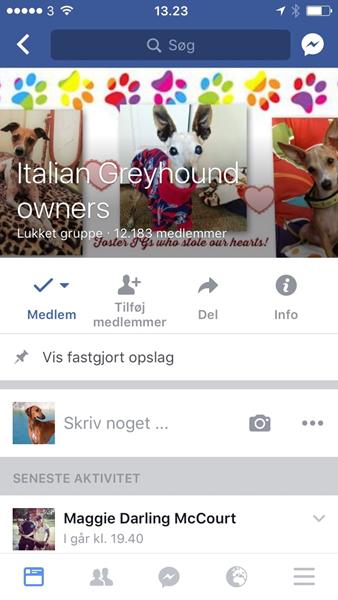 profilbillede